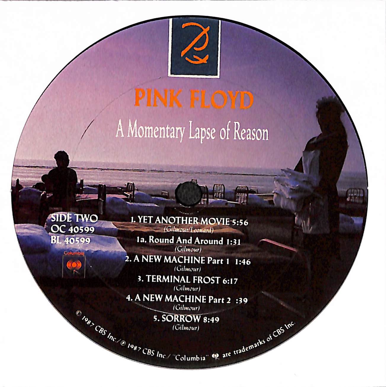 A Momentary Lapse Of Reason