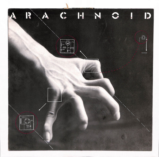 Arachnoid