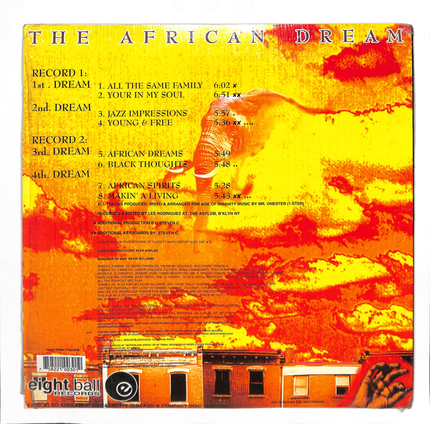 The African Dream