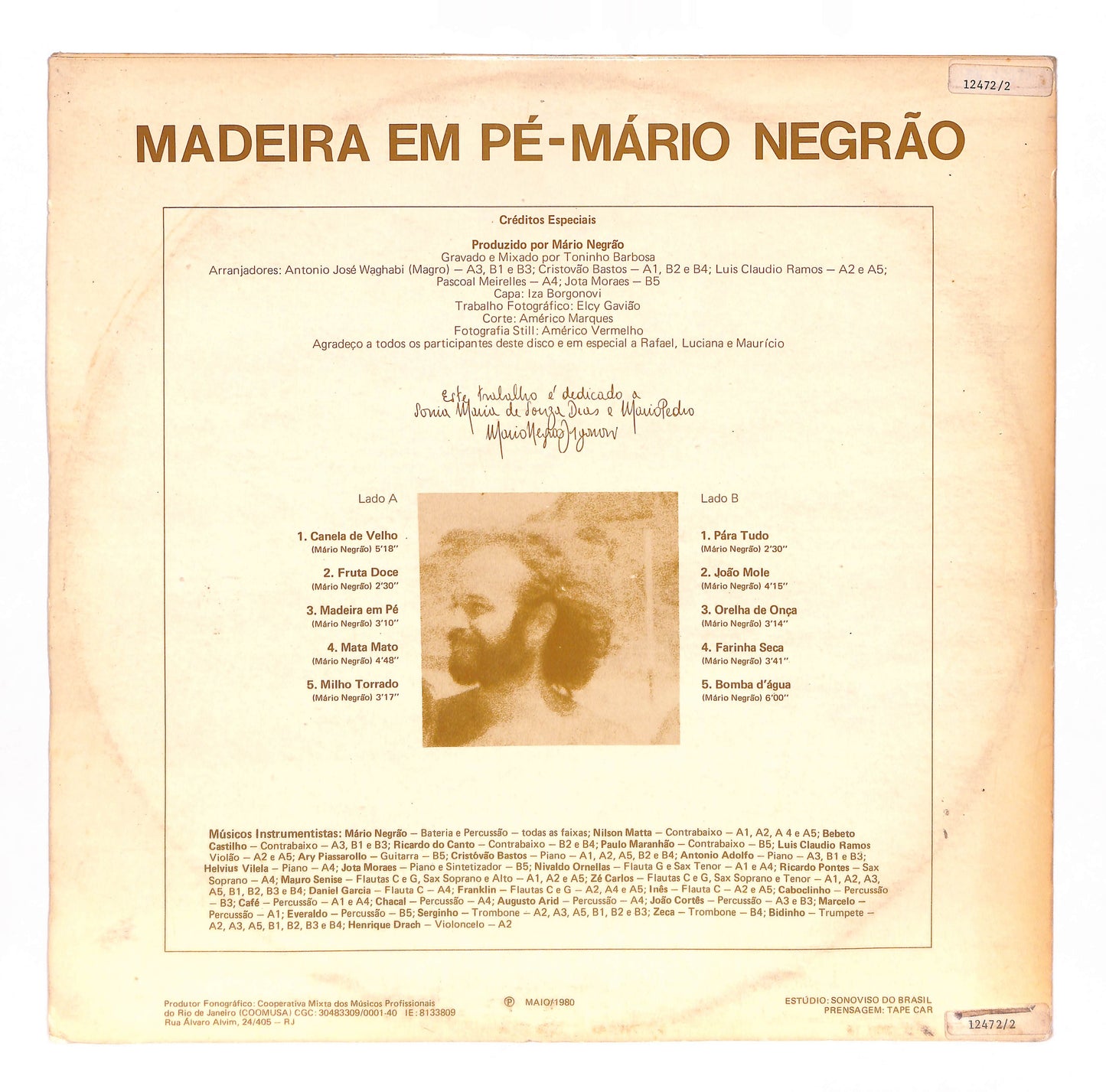 Madeira Em Pé