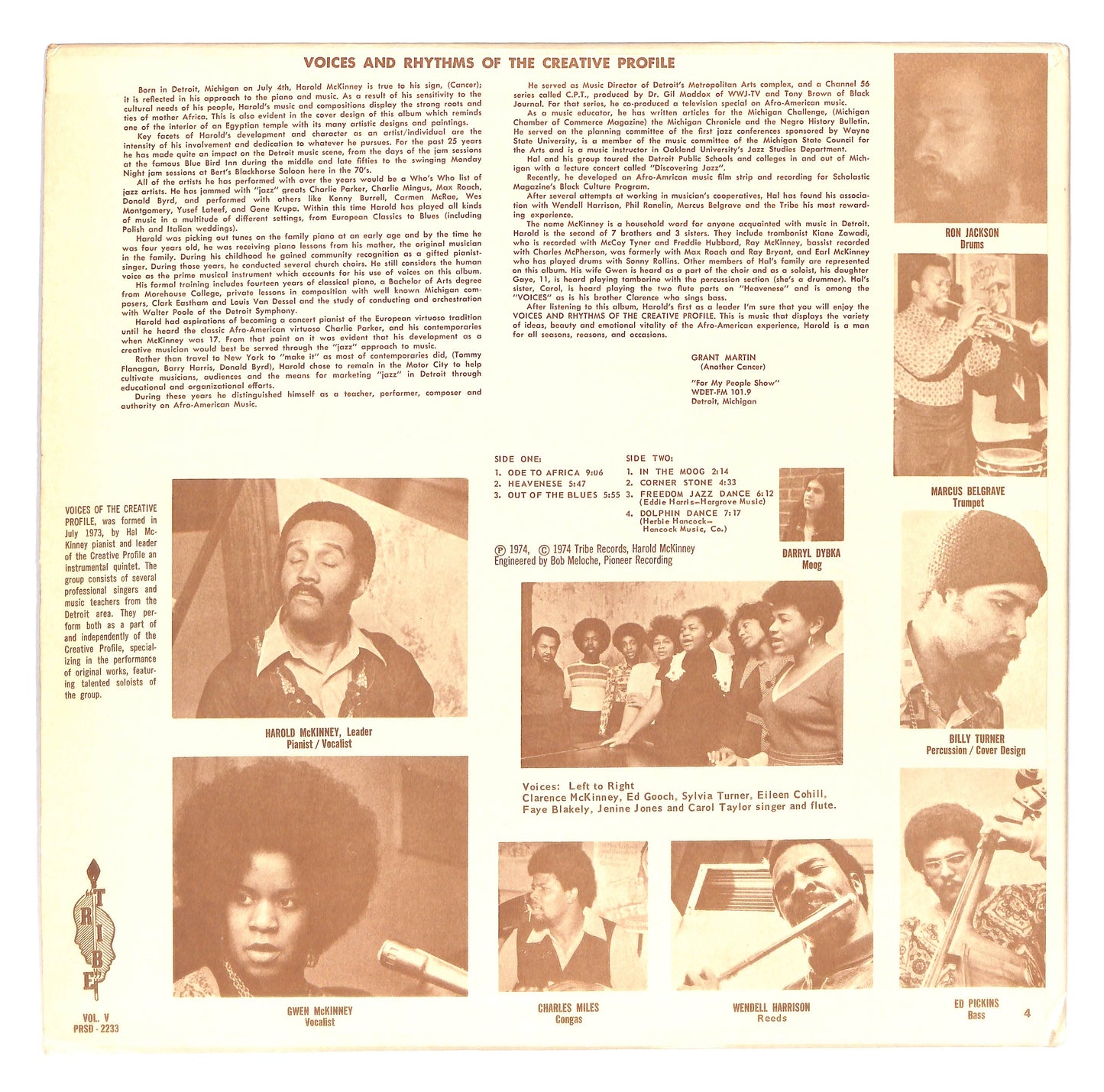 Voices & Rhythms Of The Creative Profile