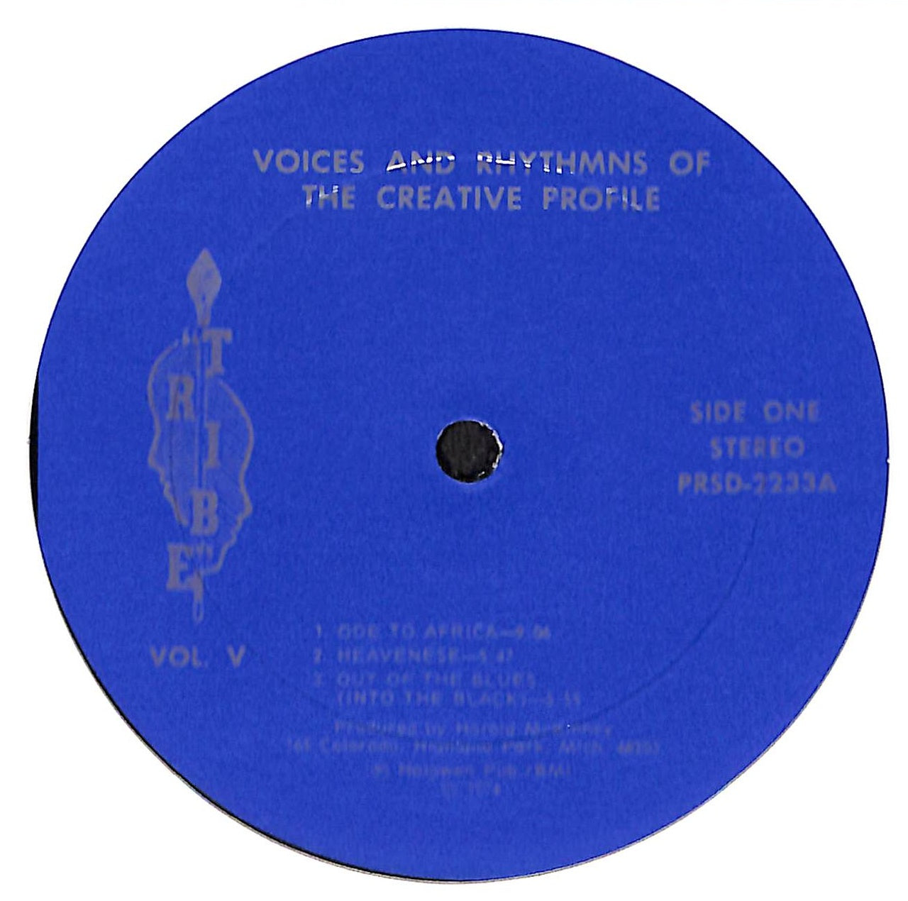 Voices & Rhythms Of The Creative Profile