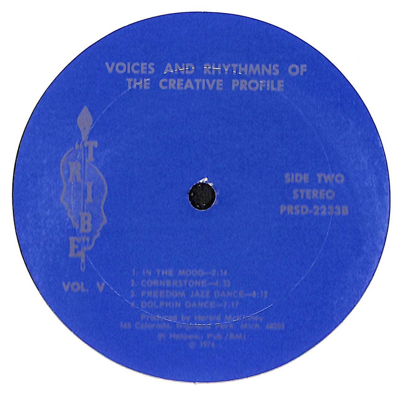 Voices & Rhythms Of The Creative Profile