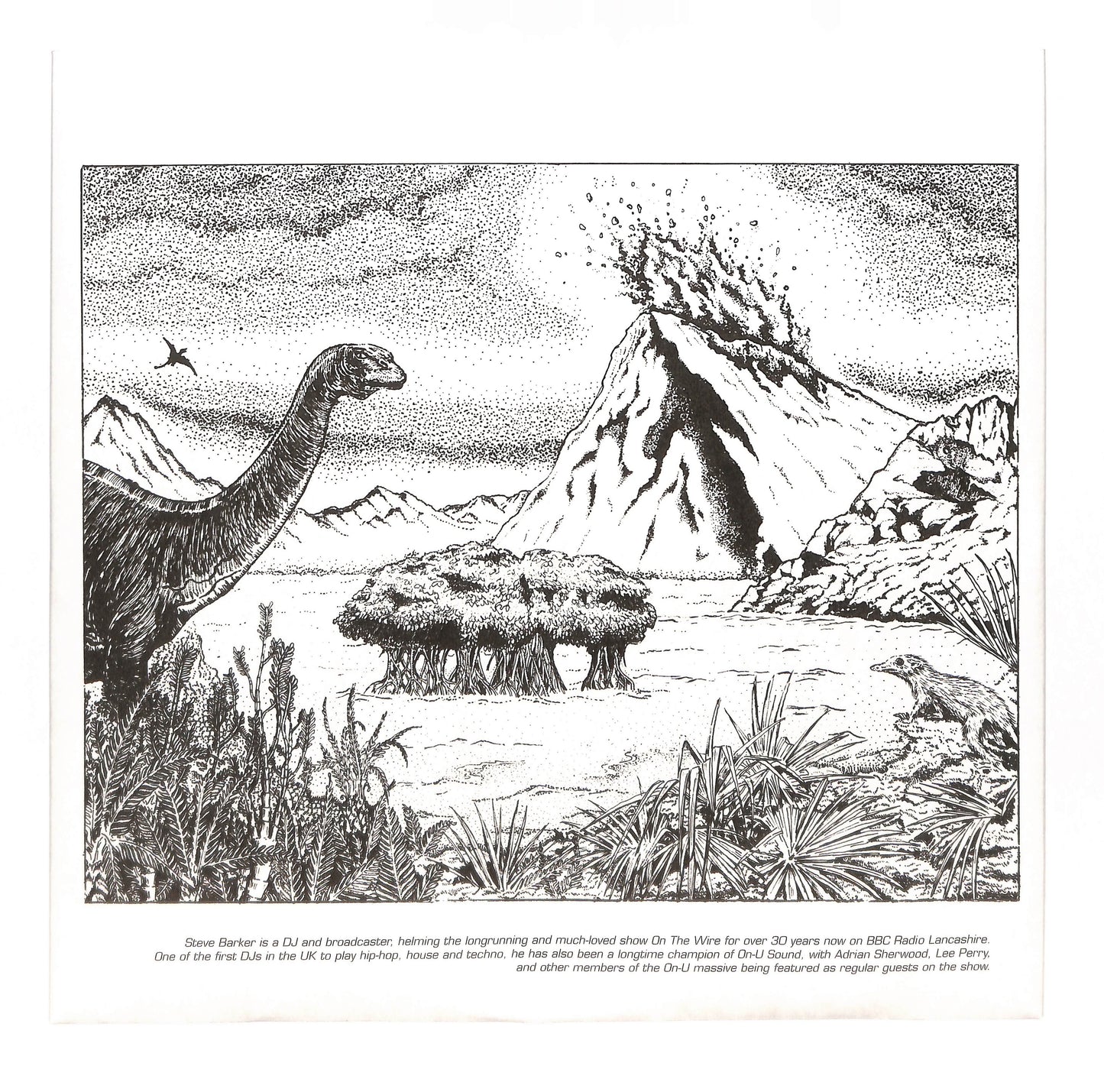 Environmental Studies