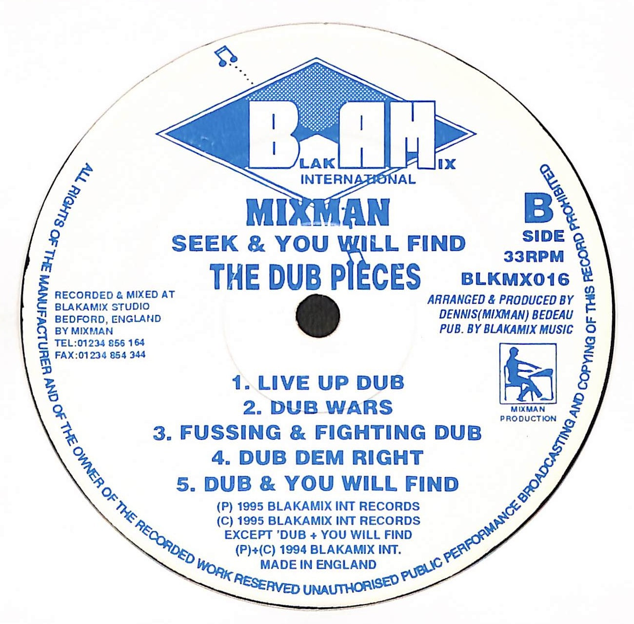 Seek And You Will Find - The Dub Pieces