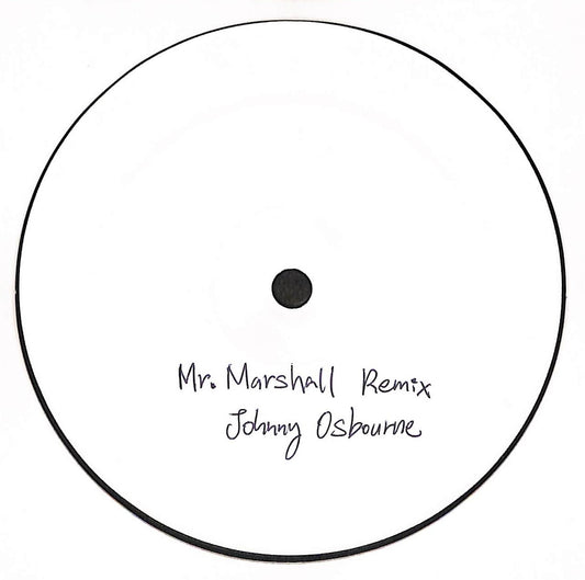 Mr Marshall / Bad Mind (Remixes)