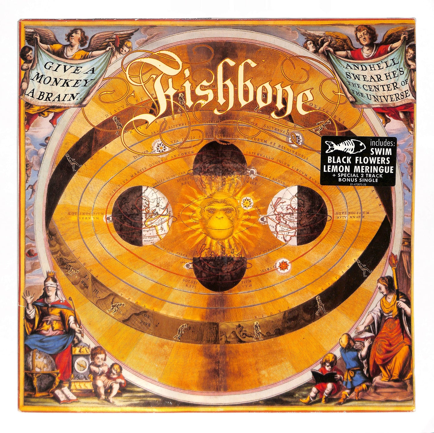 Give A Monkey A Brain...And He'll Swear He's The Center Of The Universe