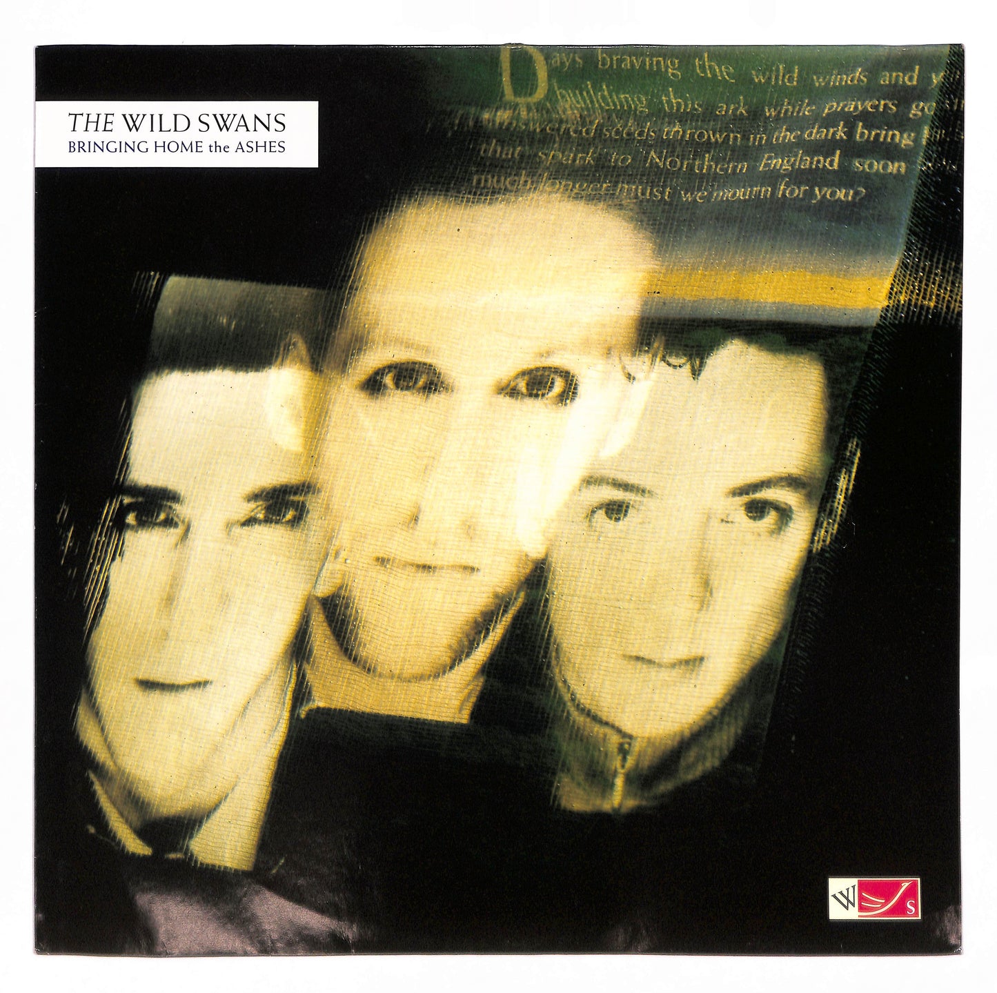 Bringing Home The Ashes