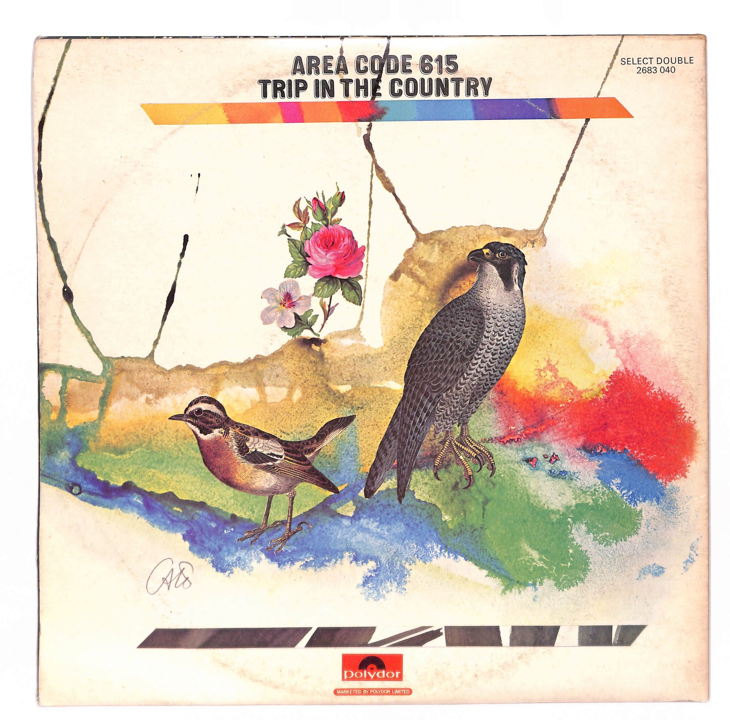 Area Code 615 / Trip In The Country