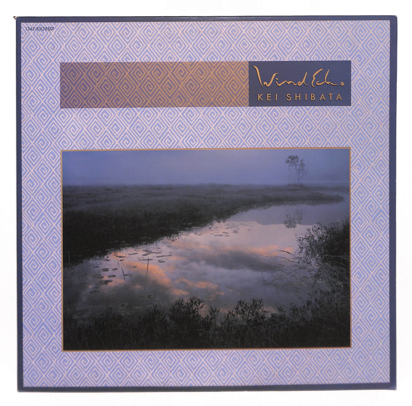 Wind Echo