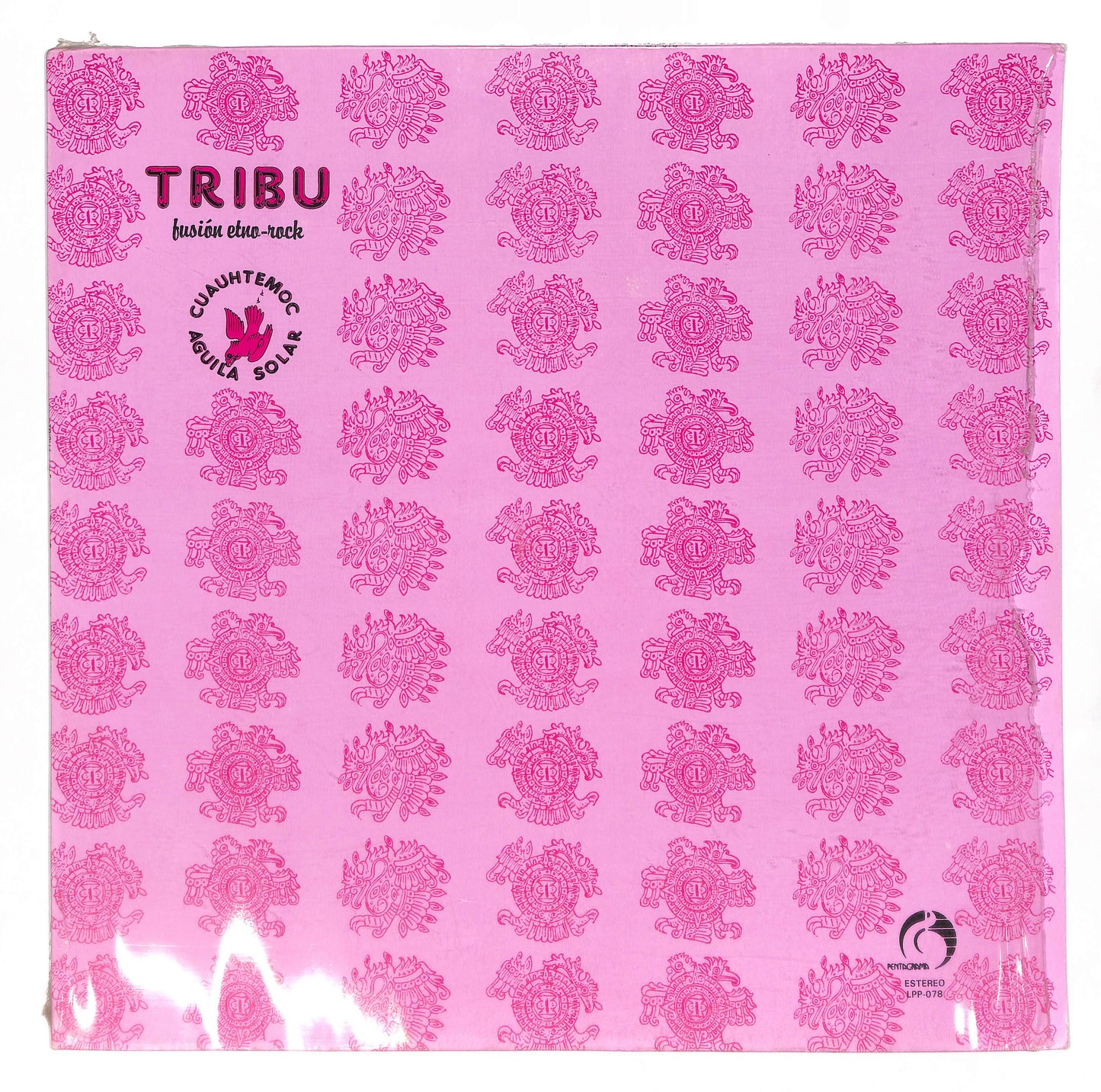 Cuauhtemoc Aguila Solar