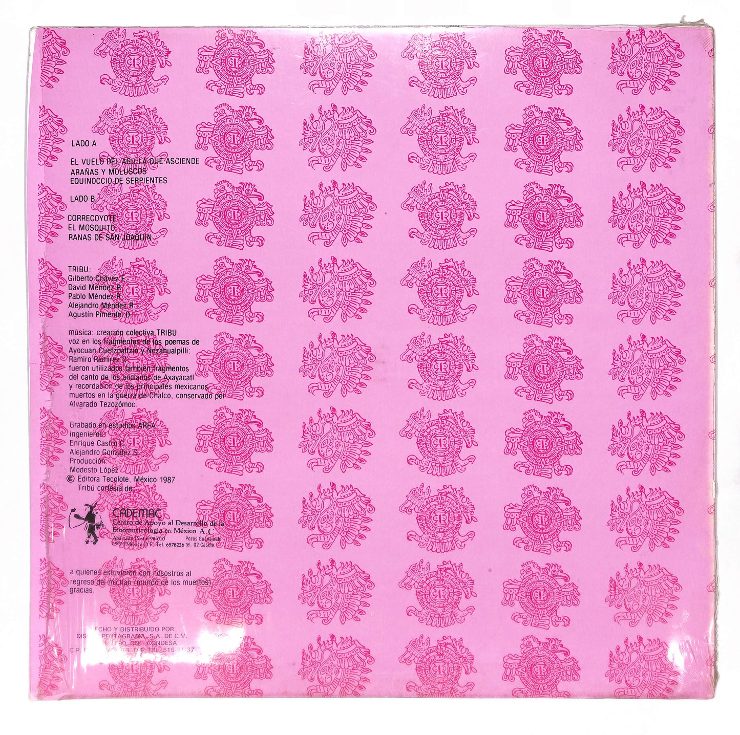 Cuauhtemoc Aguila Solar