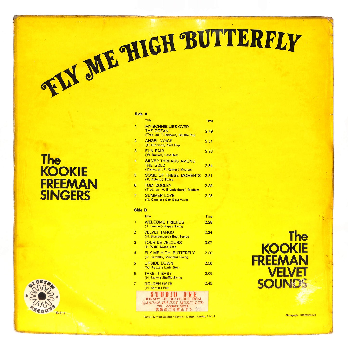 Fly Me High Butterfly