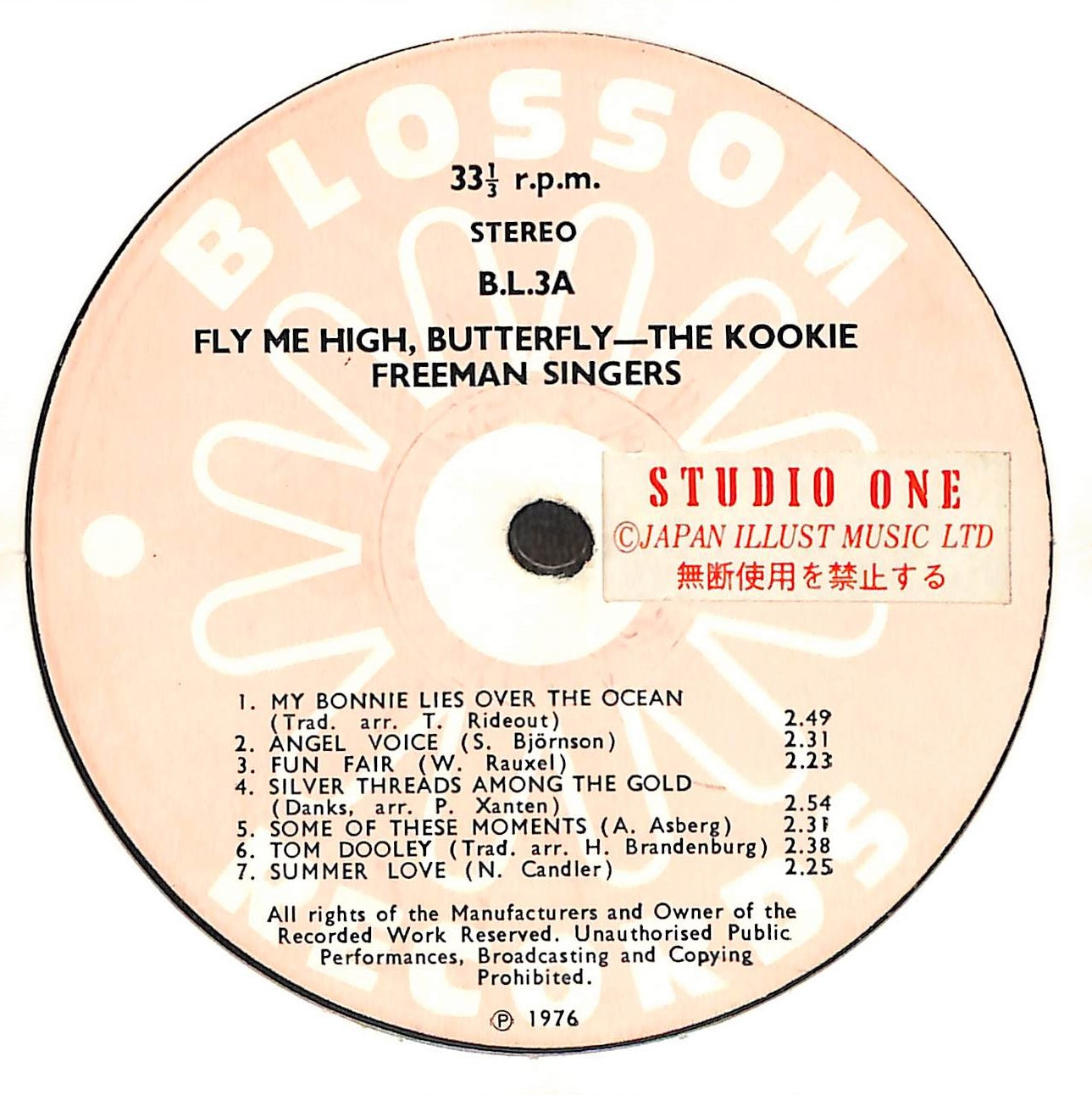 Fly Me High Butterfly