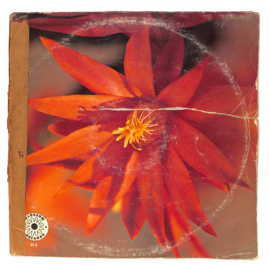 Muito Obrigado (Thank You Very Much)