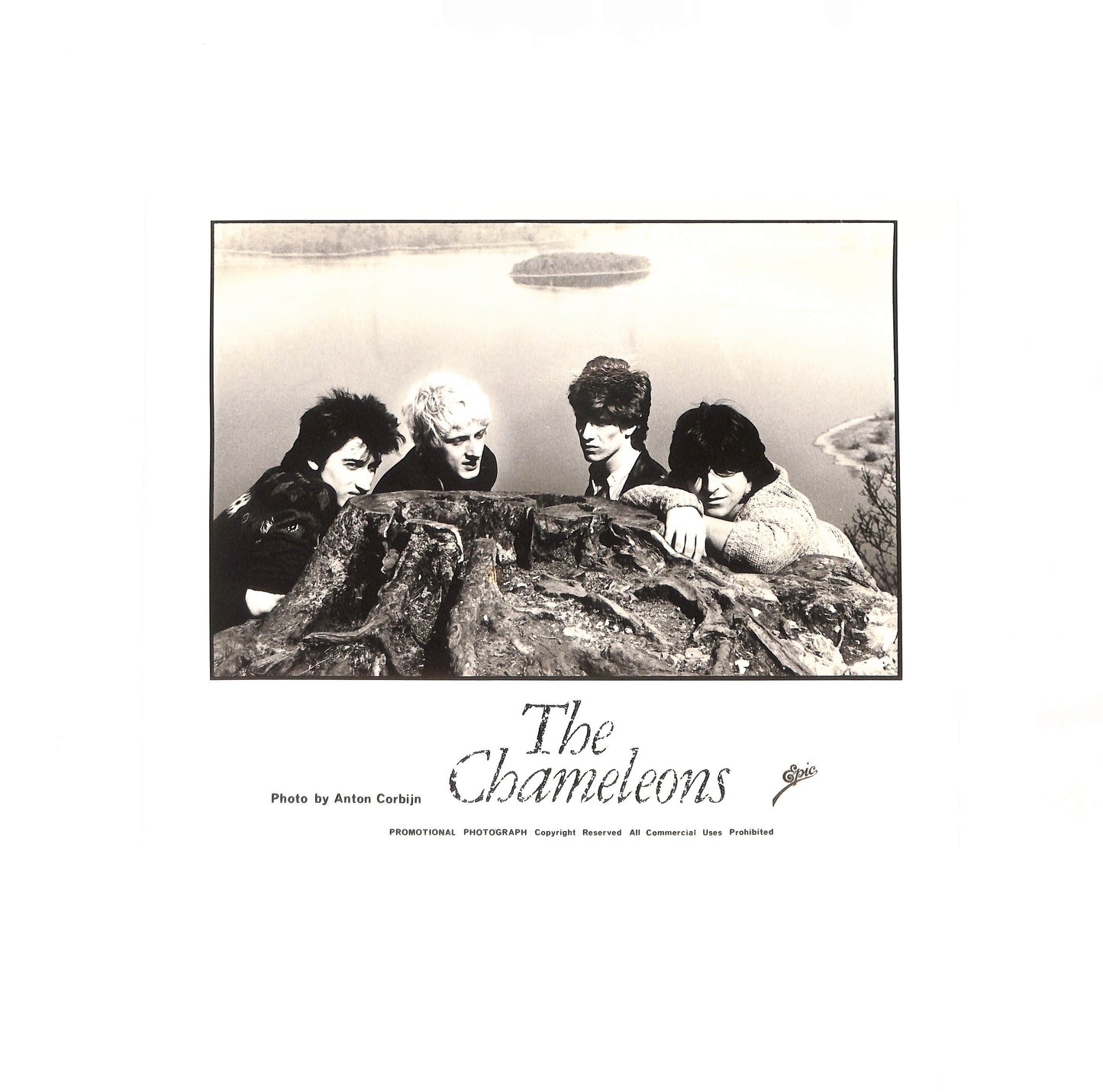 Script Of The Bridge