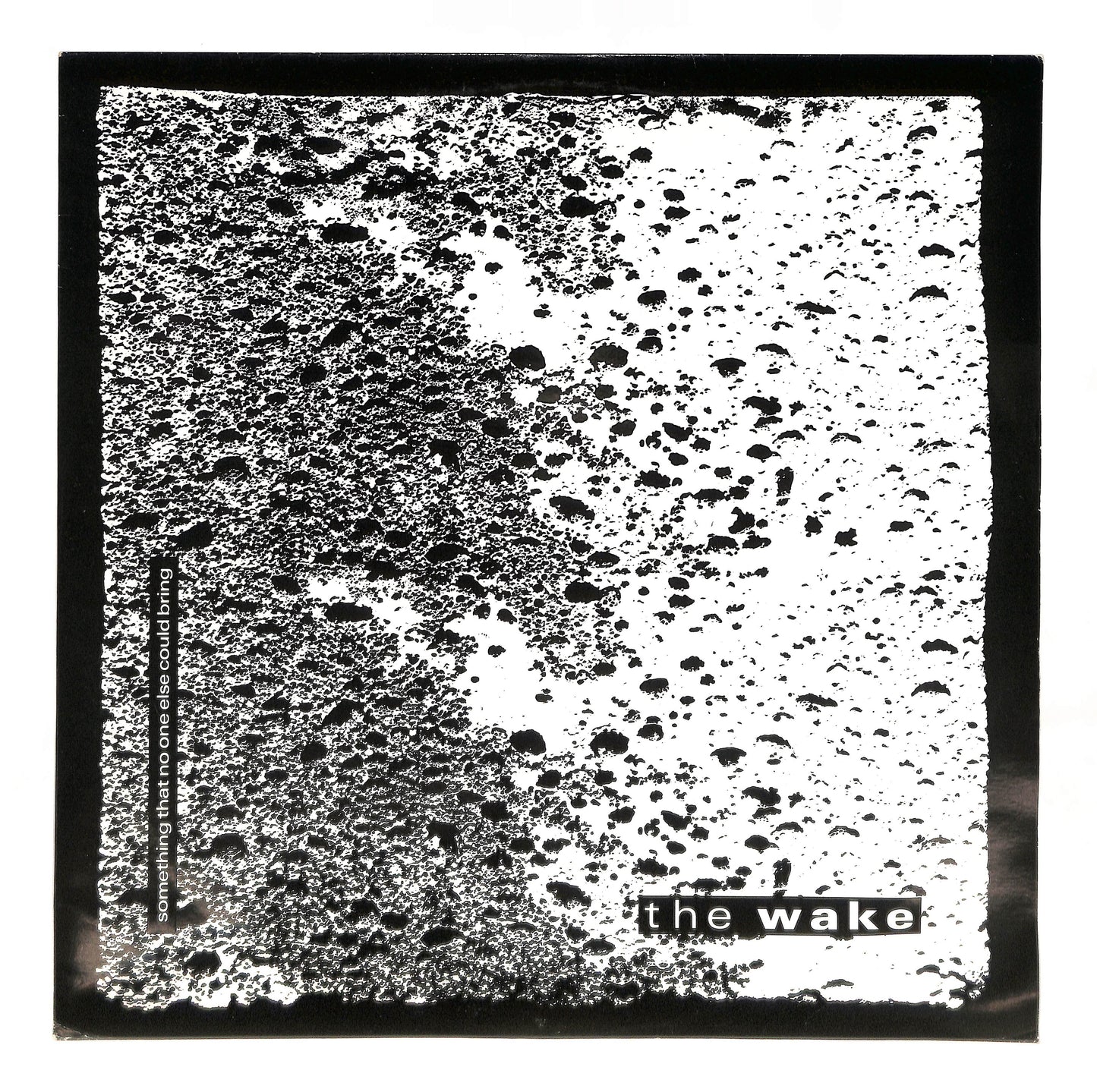 Something That No One Else Could Bring