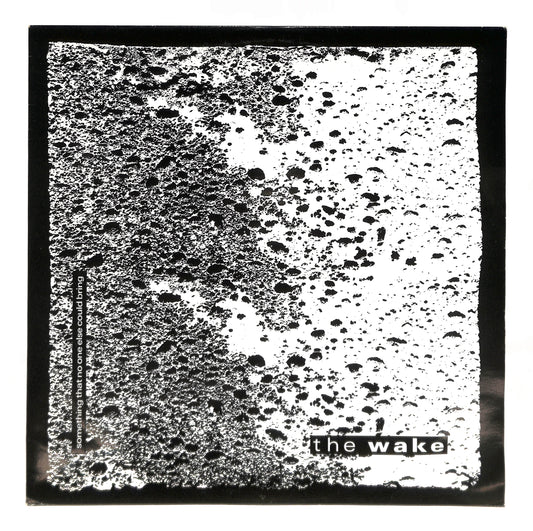 Something That No One Else Could Bring