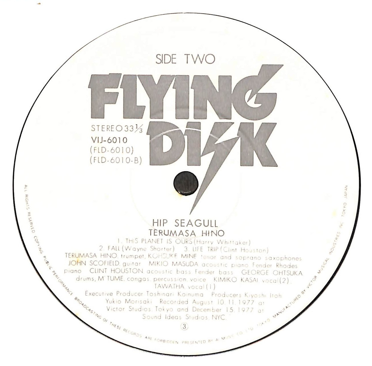 Hip Seagull