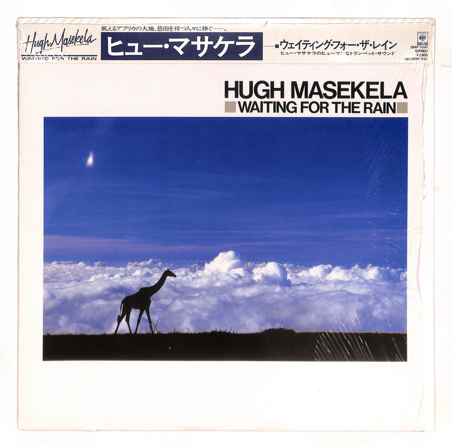 Waiting For The Rain