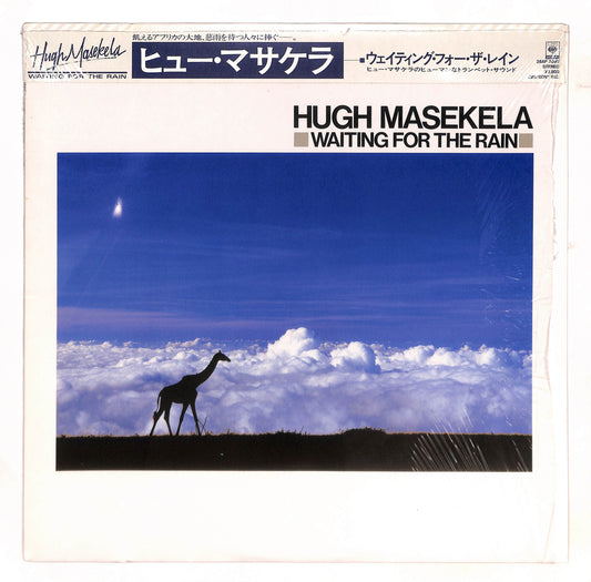 Waiting For The Rain