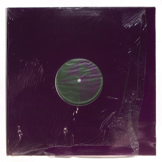 On The North Star With Gemini