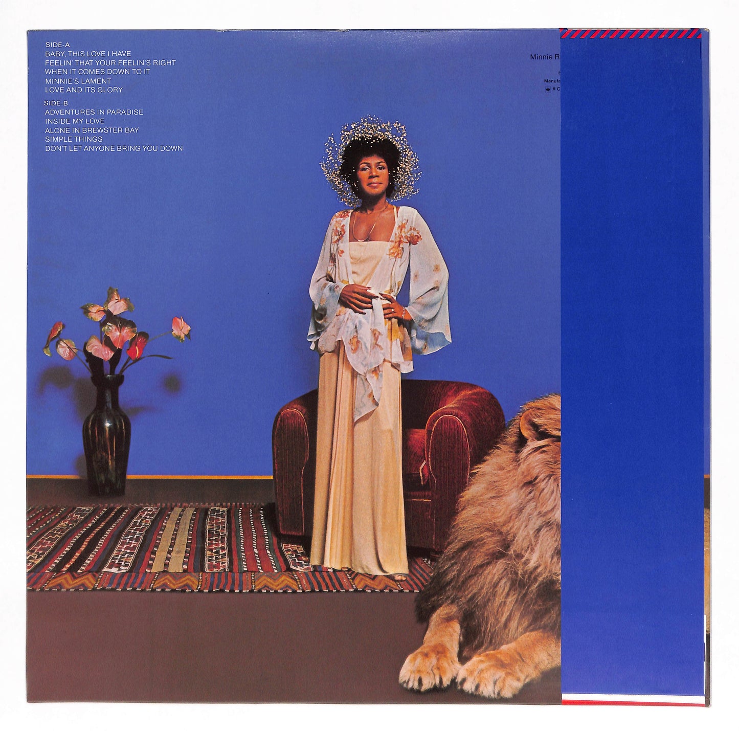 Adventures In Paradise