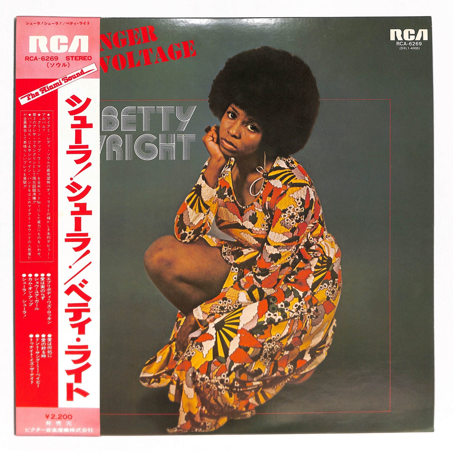 Danger - High Voltage