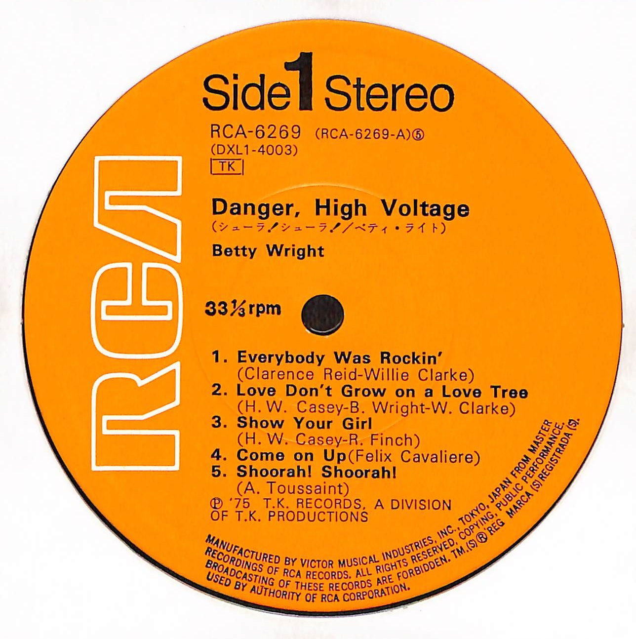 Danger - High Voltage