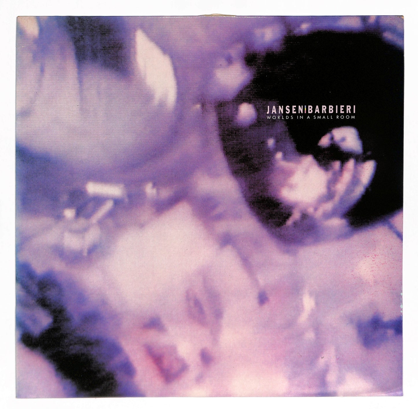 Worlds In A Small Room