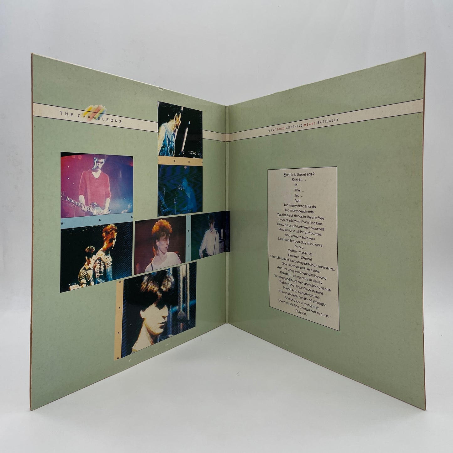 What Does Anything Mean?  Basically