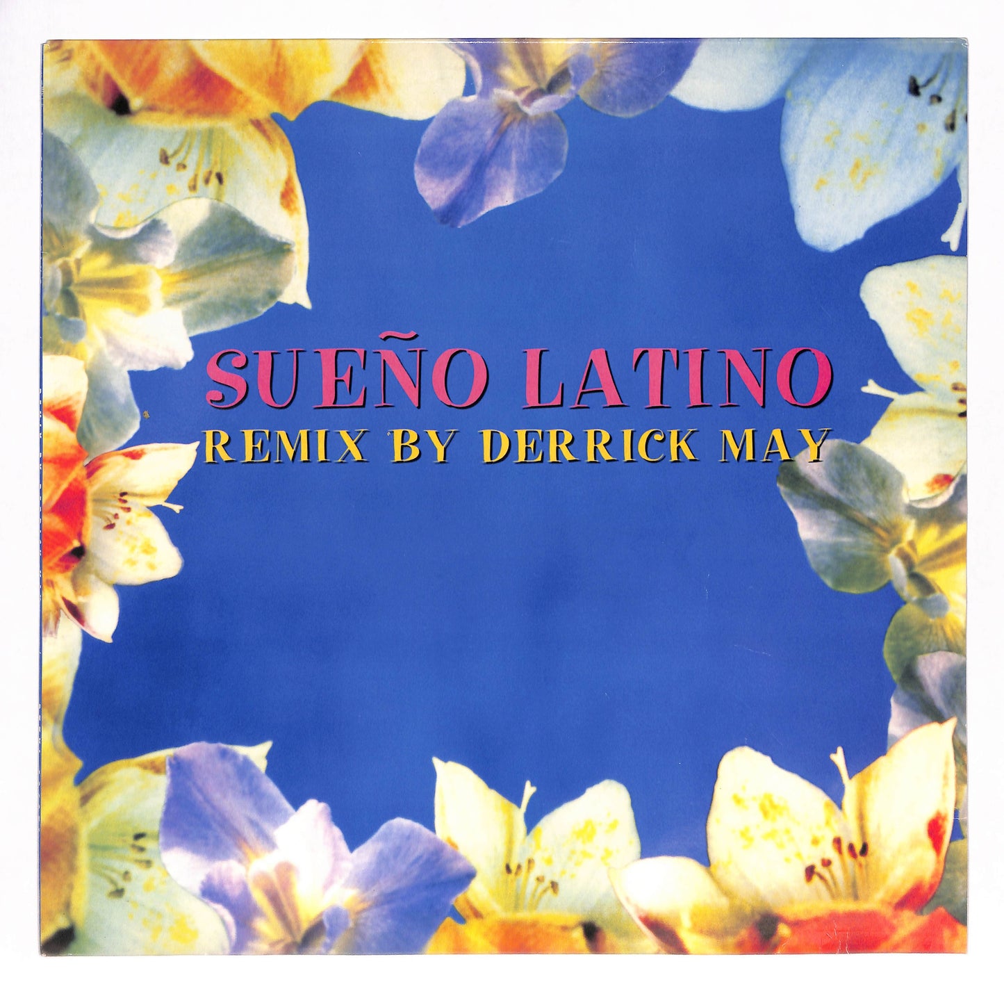 Sueño Latino (Remix By Derrick May)