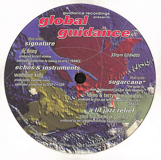 Global Guidance