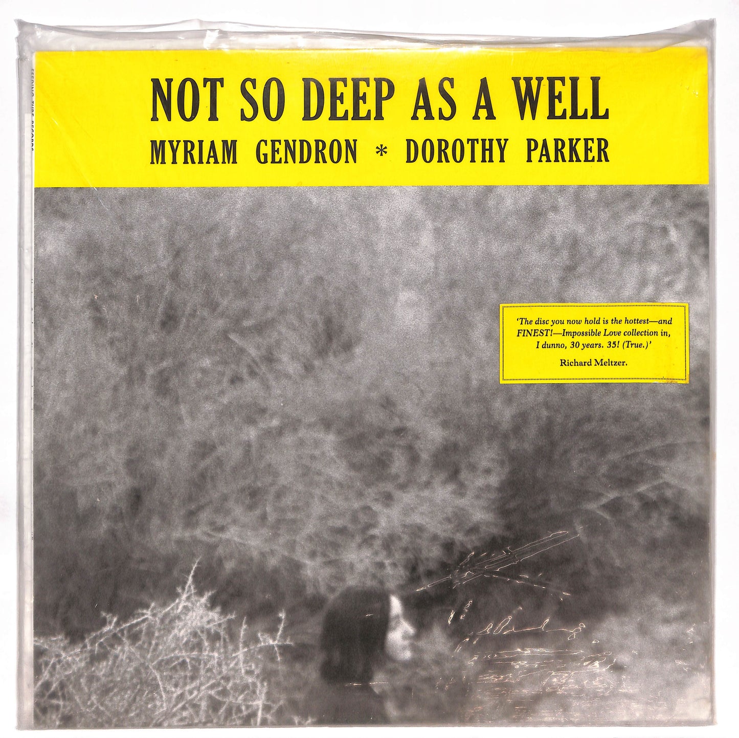 Not So Deep As A Well