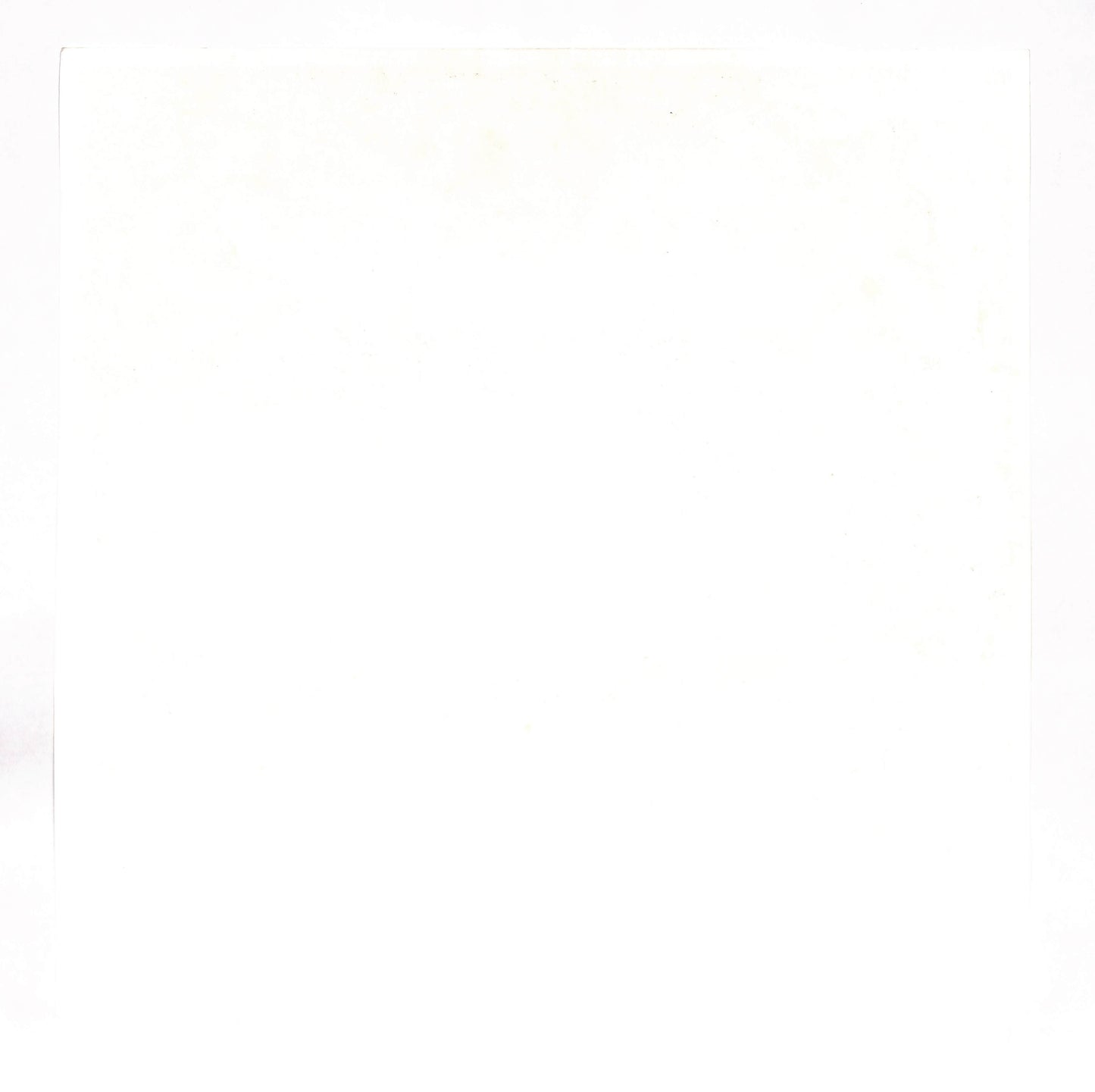 I Am The Resurrection