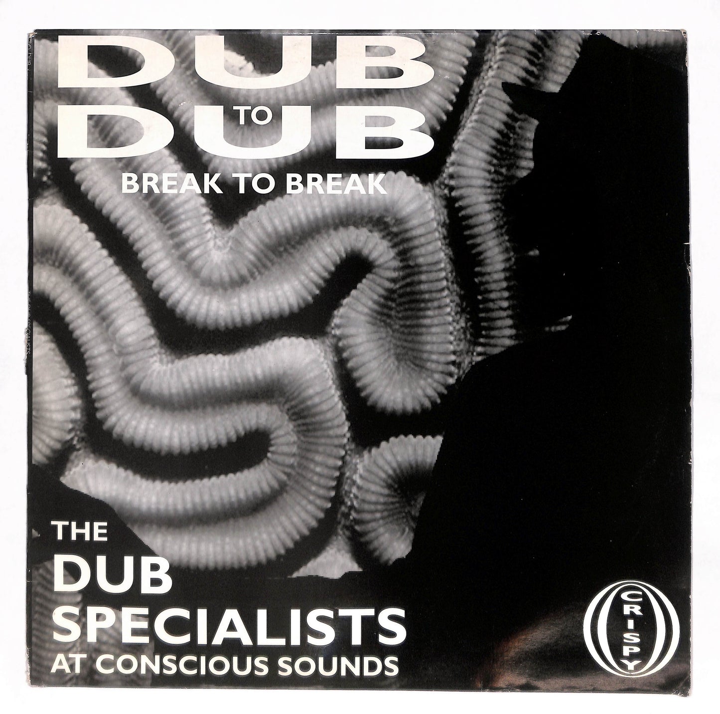 Dub To Dub Break To Break