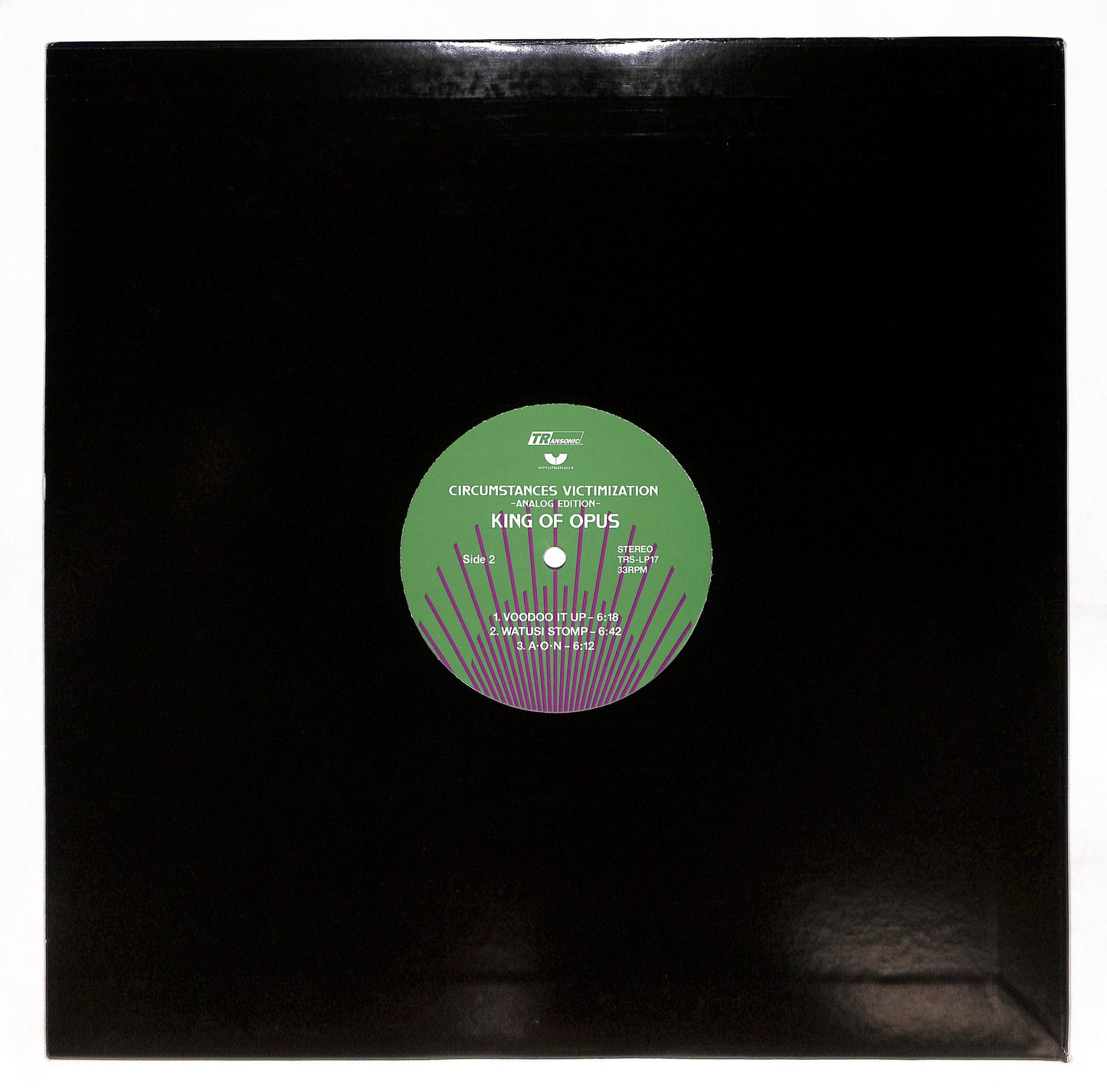 Circumstances Victimization -Analog Edition-