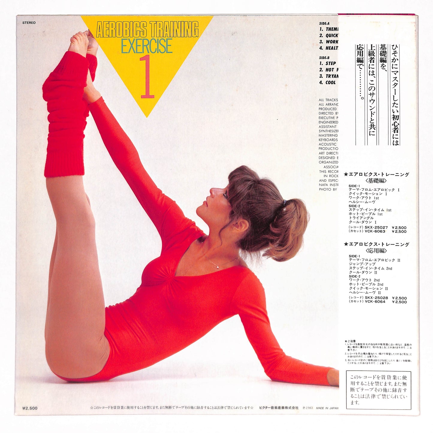 エアロビクス・トレーニング (基礎編)