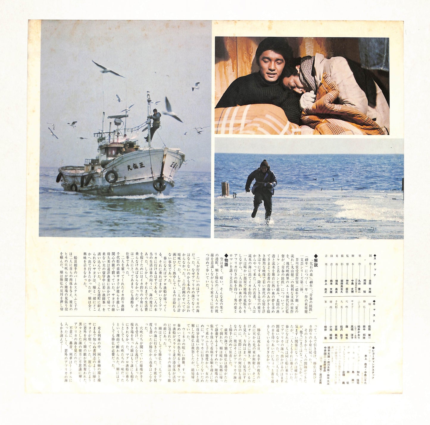 アフリカの光 愛・青春・海