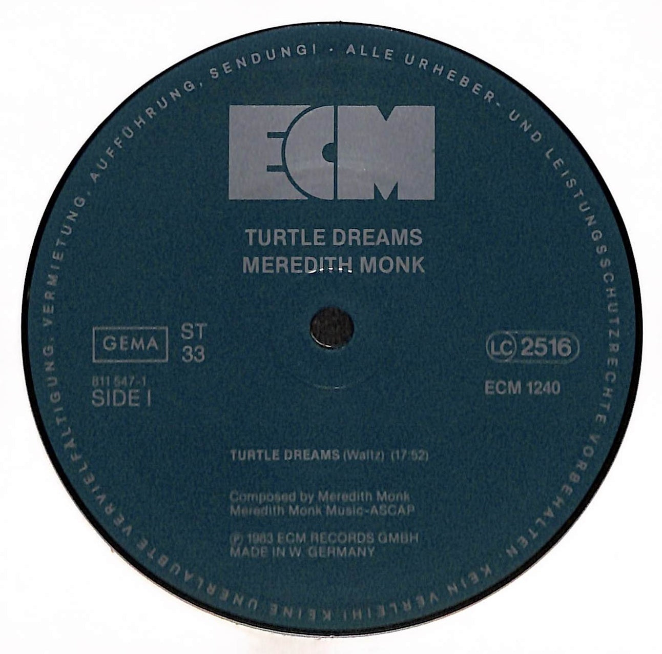 Turtle Dreams