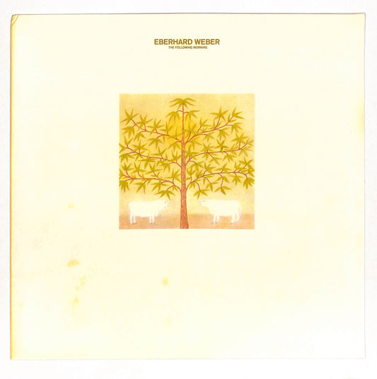 The Following Morning