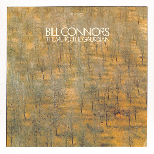 Theme To The Gaurdian