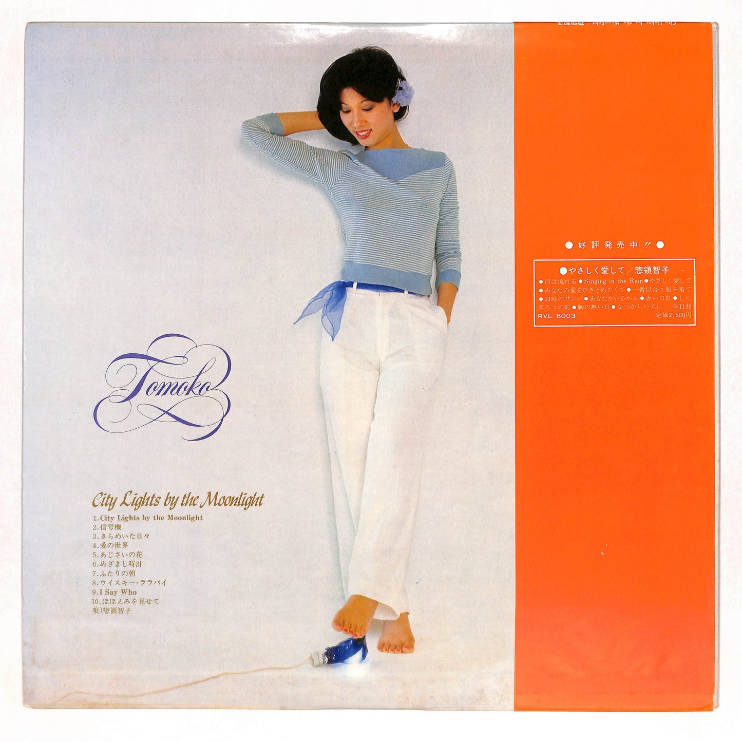 City Lights By The Moonlight