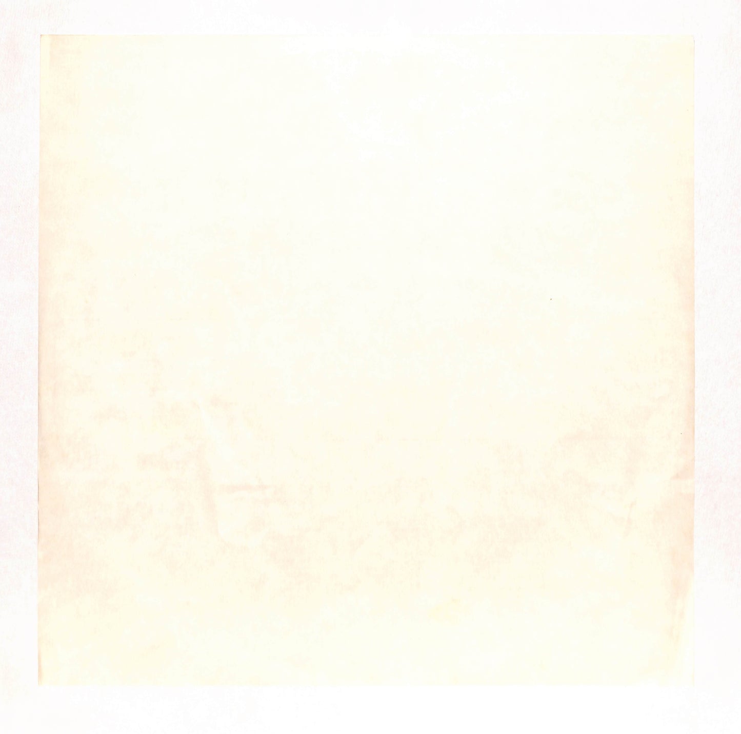 City Lights By The Moonlight