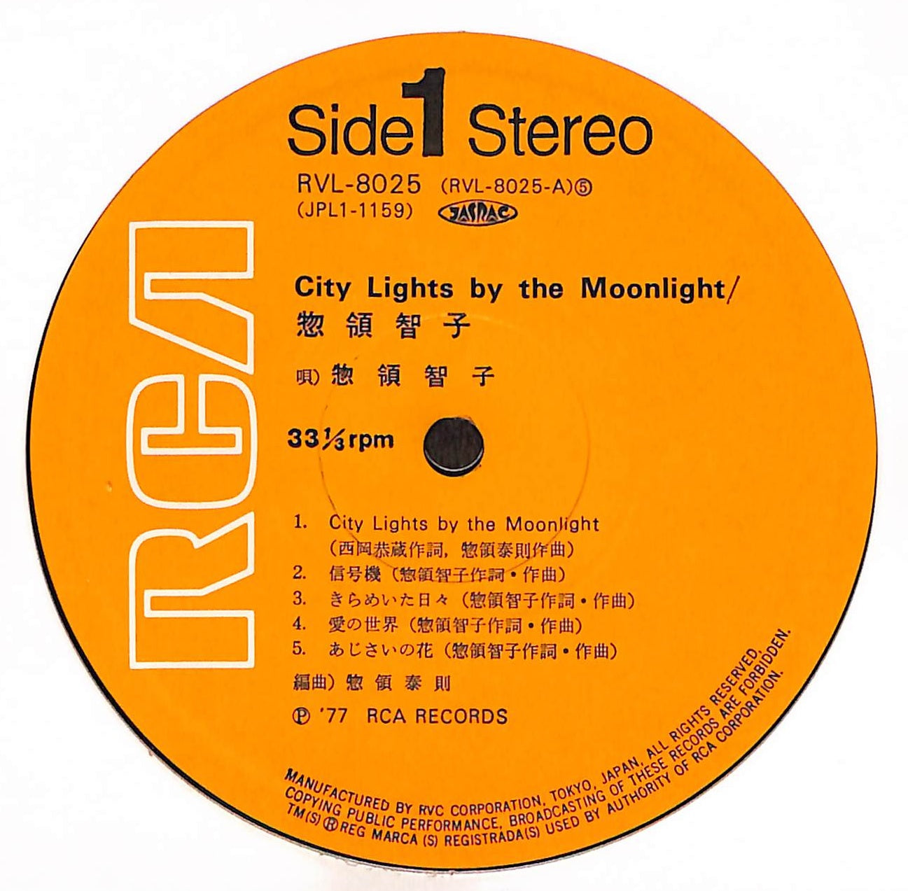 City Lights By The Moonlight