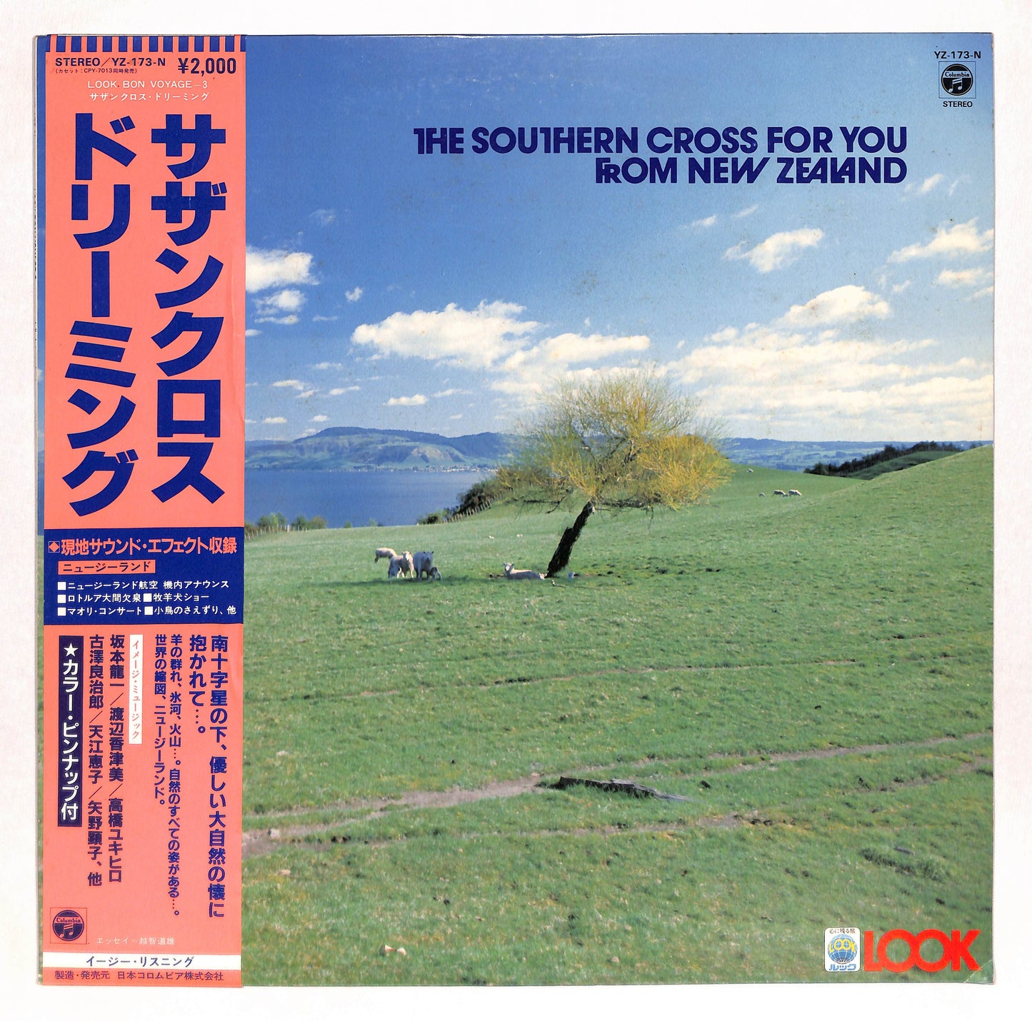 サザンクロス・ドリーミング The Southern Cross For You From New Zealand