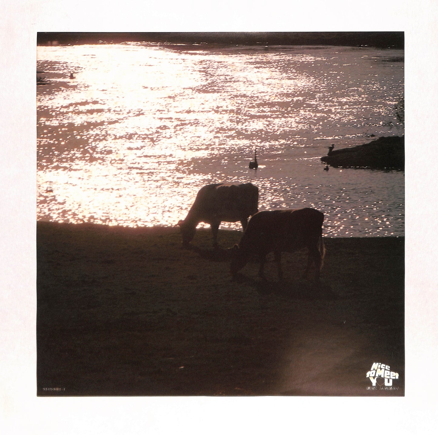 サザンクロス・ドリーミング The Southern Cross For You From New Zealand