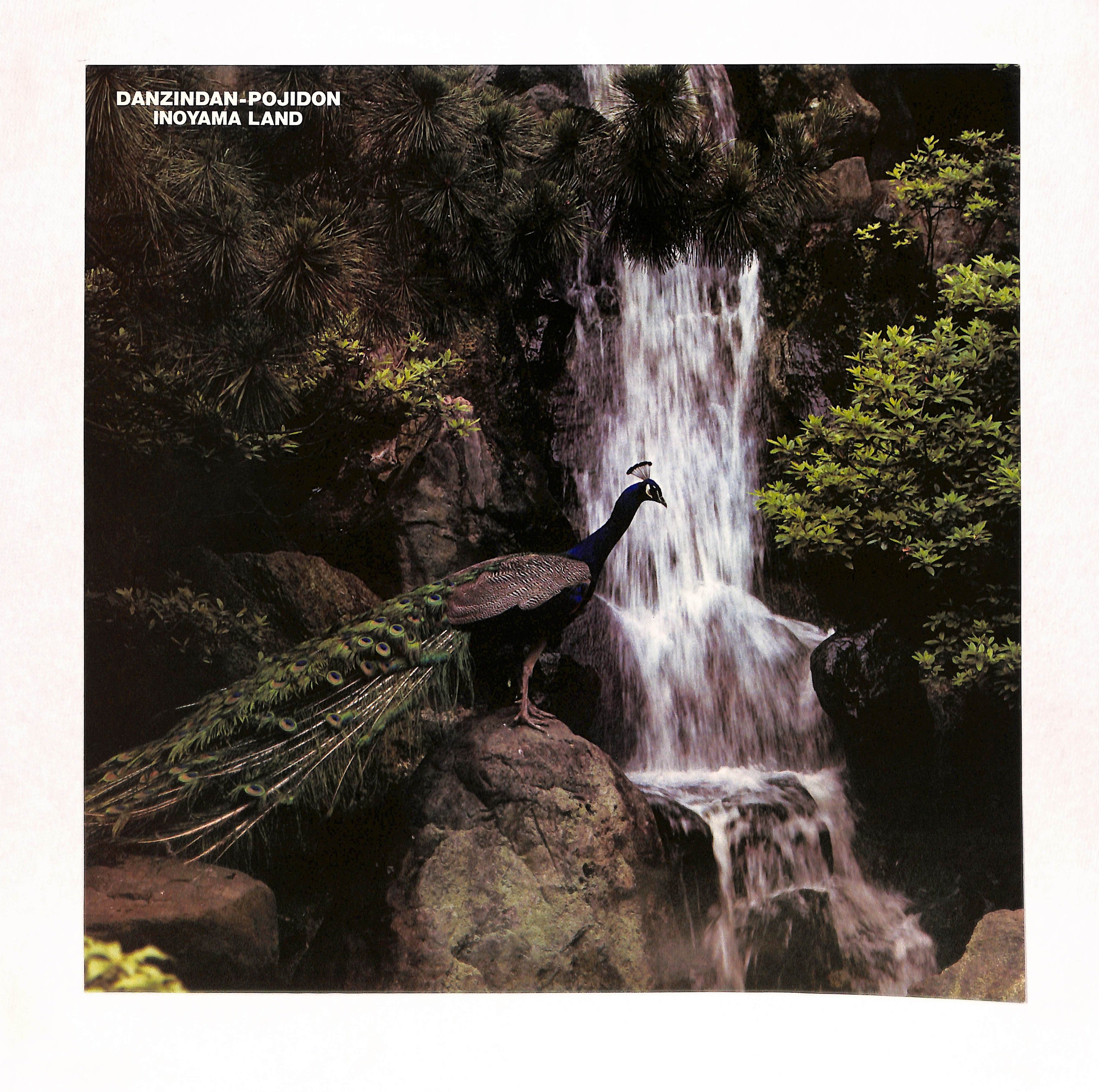 ダンジンダン・ポジドン – ELLA ONLINE