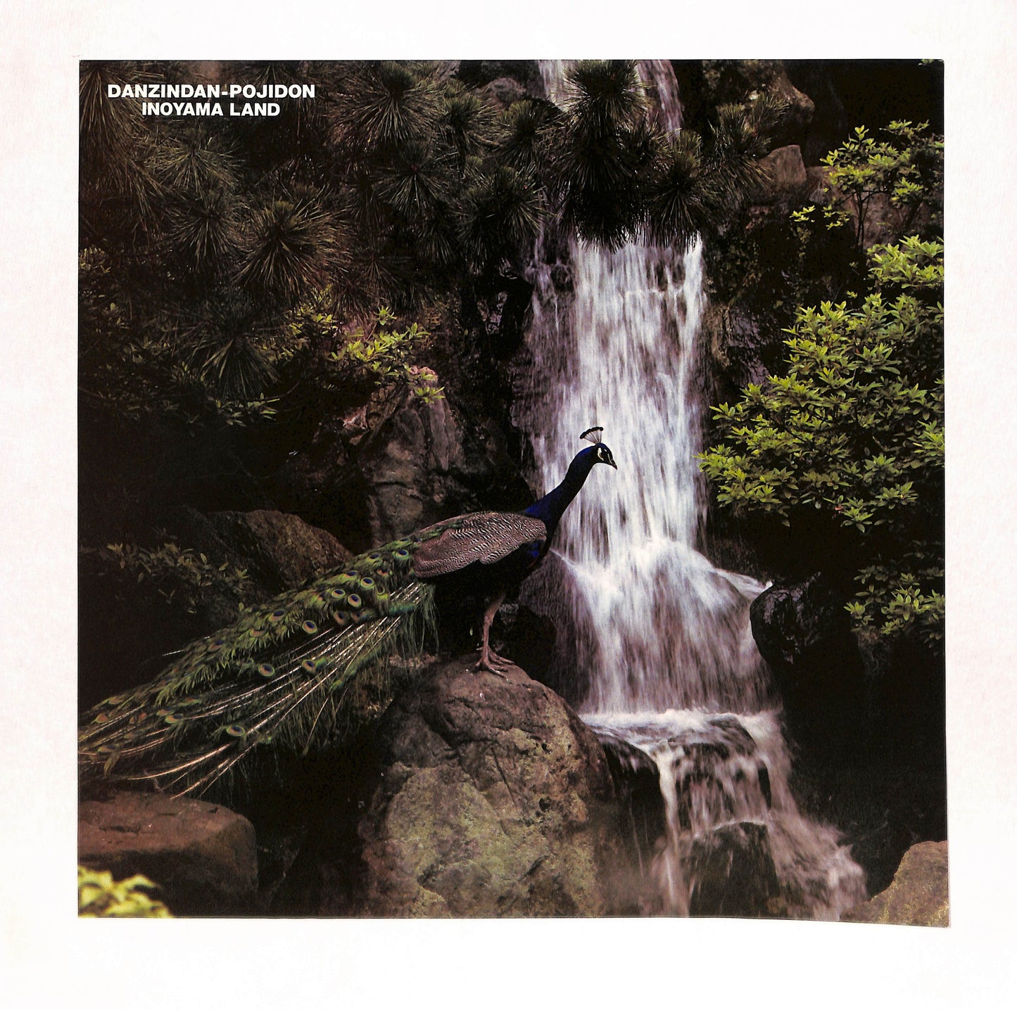 ダンジンダン・ポジドン