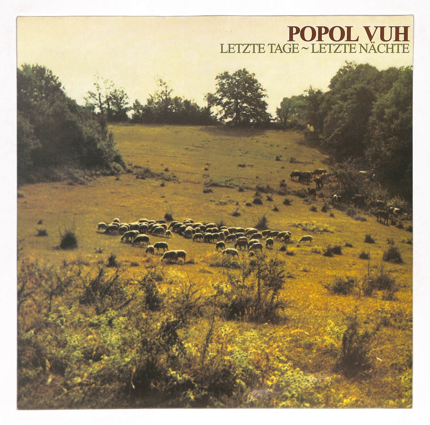 Letzte Tage - Letzte Nächte